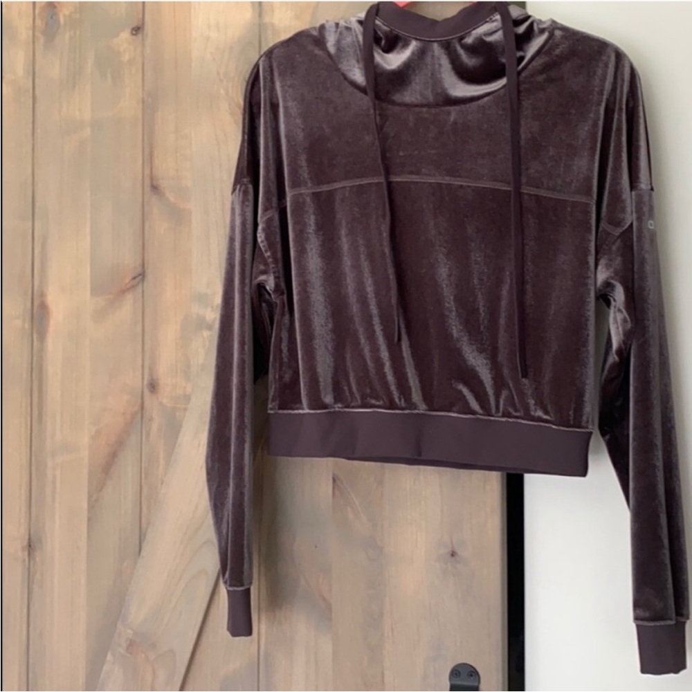 ALO Yoga Velvet Hoodie in Rasin